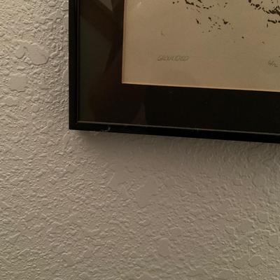 Framed Prints