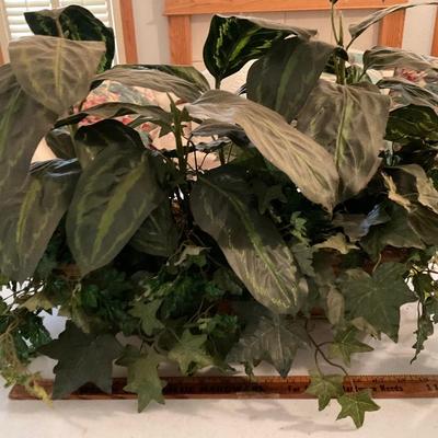 Plant Decor