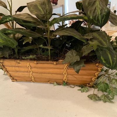 Plant Decor