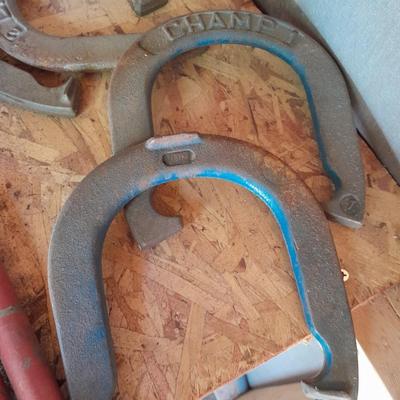 CHAMP Horseshoe game with Shoes and posts