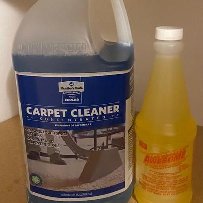 Carpet Cleaner