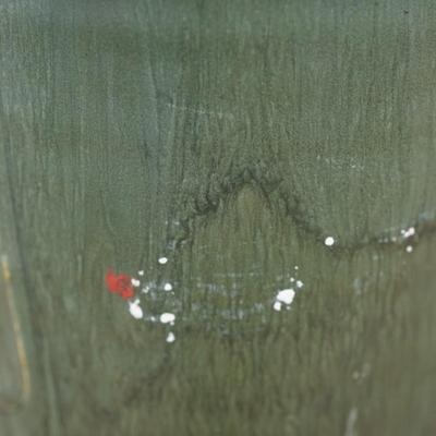 EPHRAIM POTTERY VASE DRAGONFLY , GREEN SIGNED KEVIN HICKS