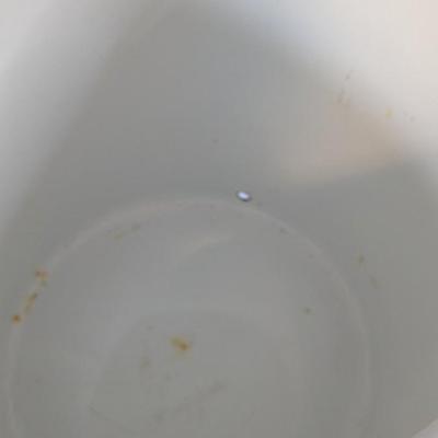 Black Rim Enamelware