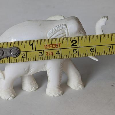 Small Safari