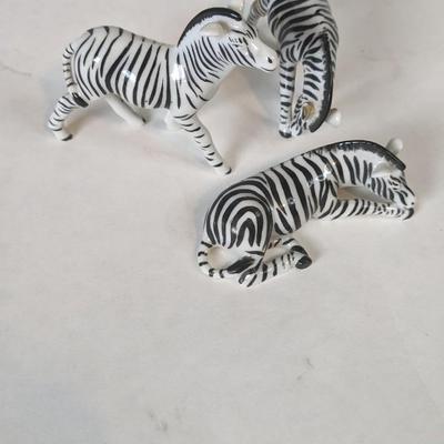 Small Safari