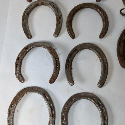 Horseshoes Assortment