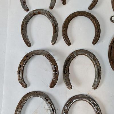 Horseshoes Assortment