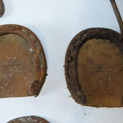 Horseshoes Assortment
