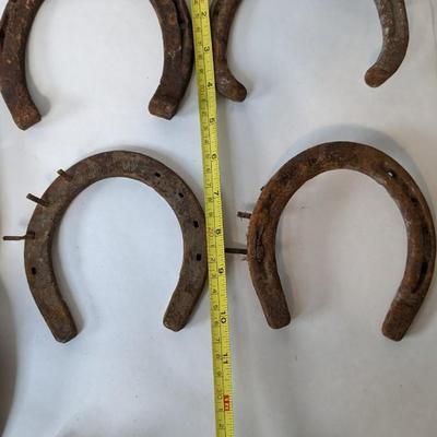 Horseshoes Assortment