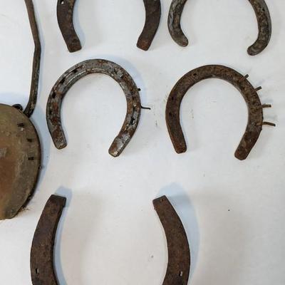 Horseshoes Assortment