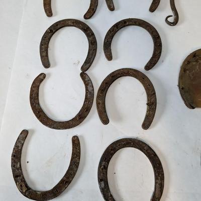 Horseshoes Assortment