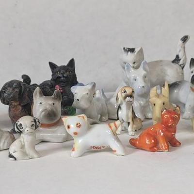 Cats and Dogs