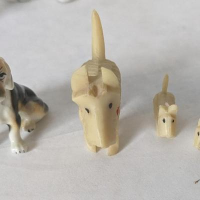 Cats and Dogs