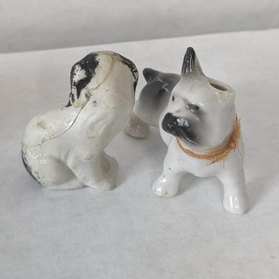 Cats and Dogs