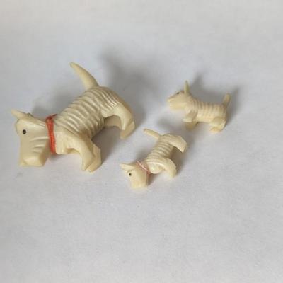 Cats and Dogs