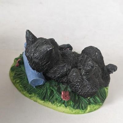 Cats and Dogs
