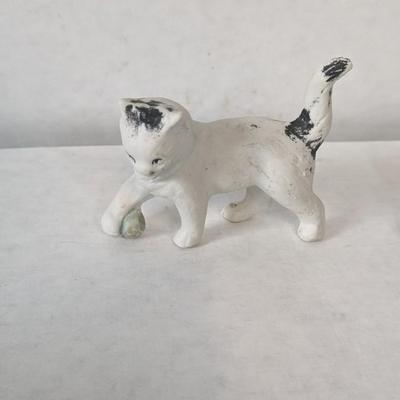 Cats and Dogs