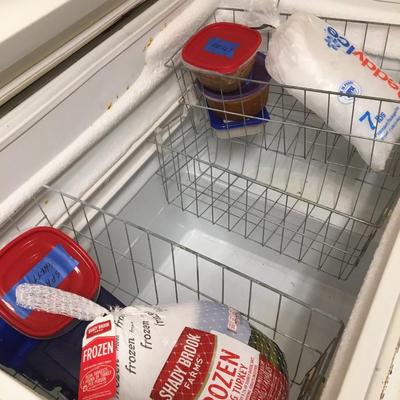 Freezer, Sears Kenmore model 10155, Spacemaster
