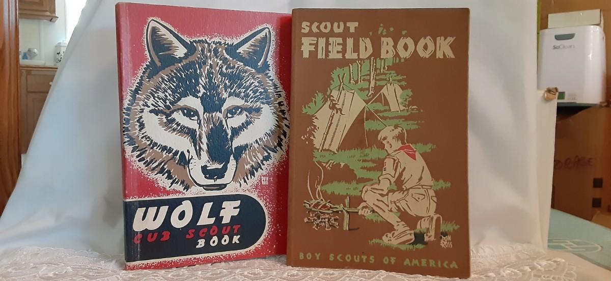 Scouting Books