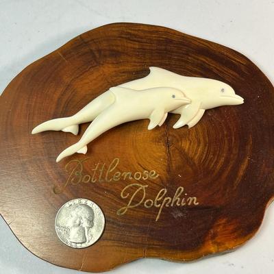 BOTTLE NOSE DOLPHIN 3-D PLAQUE 6â€ WIDE