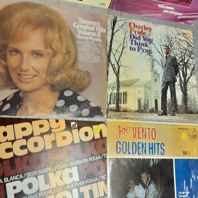 12" LP Vinyl records wide variety of artists Country, Super hits, Golden hits and more