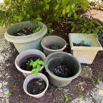 1262 Lot of Plastic Flower Pots