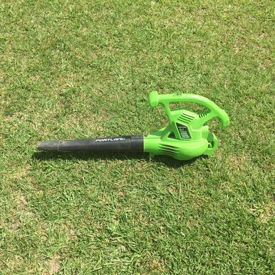 Portland 3 IN 1 electric blower