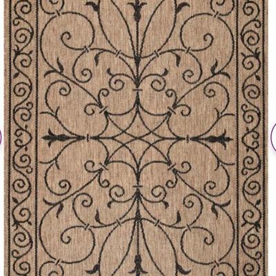 Outdoor Rug & Matching Door Mat