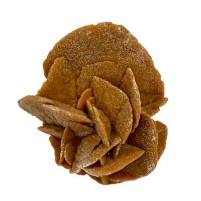 For more information and to place your bids please visit https://garnetgazelle.com/