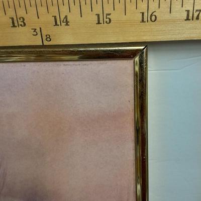 Country famed art work and duck decor.