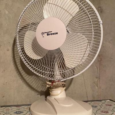 Refreshing Fan