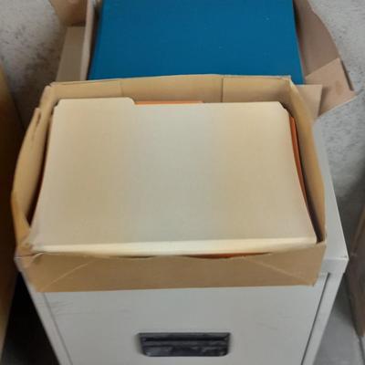 Two drawer Metal filing cabinet with folders and files