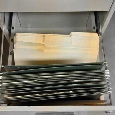 Two drawer Metal filing cabinet with folders and files