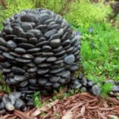 Two bowling balls for John, Sumo and Columbia