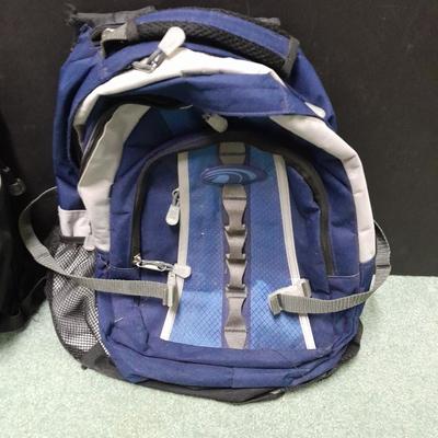 School backpack and a laptop bag