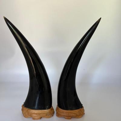 Etched Horns With Birds