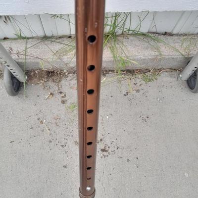 Adjustable Mobility walker and adjustable walking cane