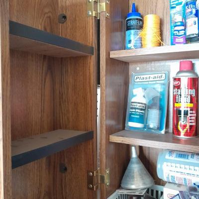 Folding door storage cabinet with Household and automobile chemicals