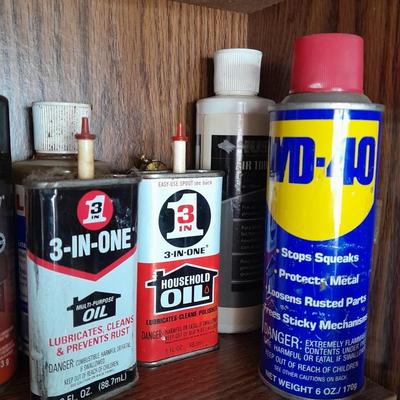 Folding door storage cabinet with Household and automobile chemicals