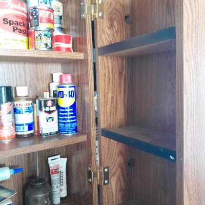 Folding door storage cabinet with Household and automobile chemicals