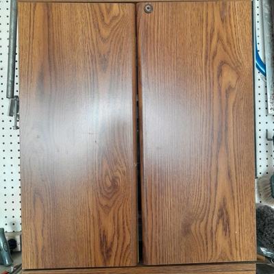 Folding door storage cabinet with Household and automobile chemicals