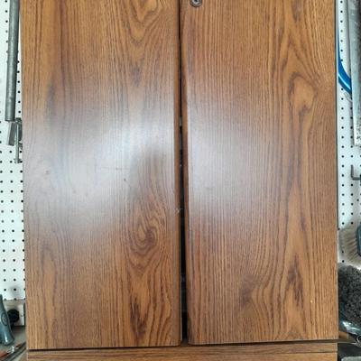 Folding door storage cabinet with Household and automobile chemicals