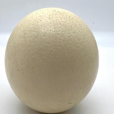 1987 Carved & Signed  Ostrich Eggs Elephants