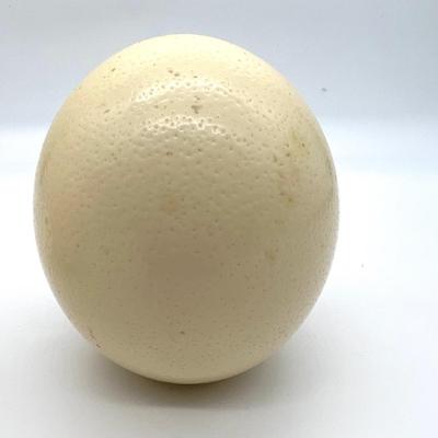 1987 Carved & Signed  Ostrich Eggs Elephants