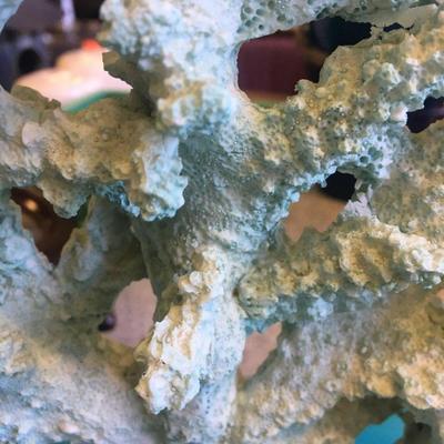Coral Decor