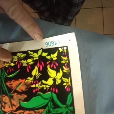 Vintage Original 1986 Pegasus Blacklight