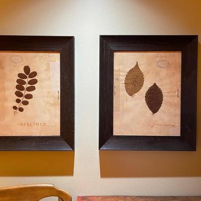 Four Piece Leaf Specimen Artwork Framed