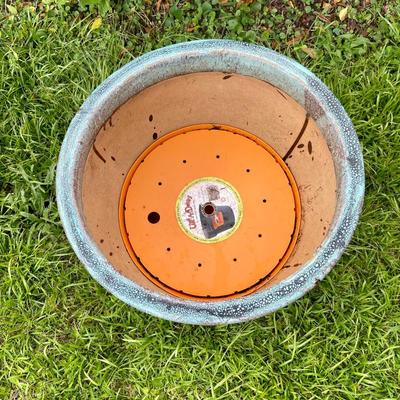 Summertime Ceramic Planters