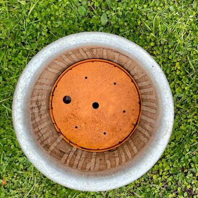 Summertime Ceramic Planters