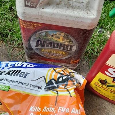 Ant bait and sevin bug killer